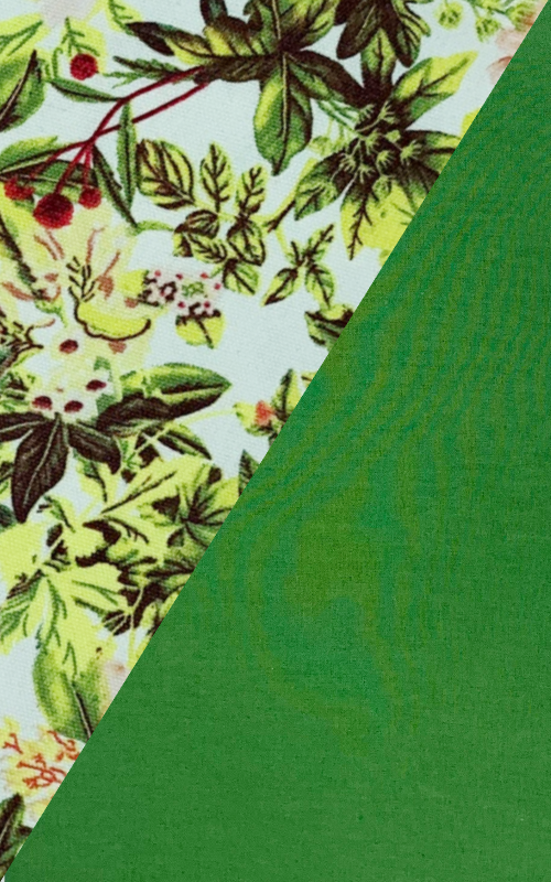 The Adventurer - Classic